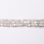 Natural White Shell 5mm Irregular Polished