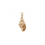 Cream Gold Edge Spiral Natural Shell Charm - 10×26mm - Image 2