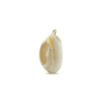 Cream Gold Edge Natural Cowrie Shell Charm - 14×23mm - Image 3
