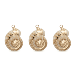Cream Gold Edge Natural Snail Shell Charm - 15×21mm