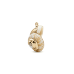 Cream Gold Edge Natural Snail Shell Charm - 15×21mm - Image 2