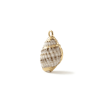 Cream Gold Edge Natural Spiral Shell Charm - 11×19mm - Image 2